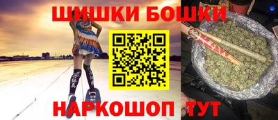 МДПВ Кингисепп