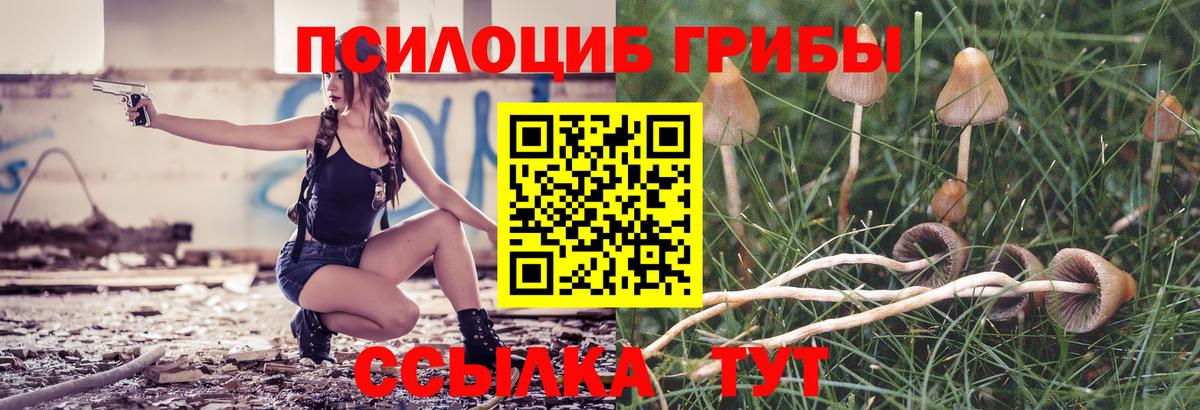 Псилоцибиновые грибы прущие грибы  Вход с VPN  Сыктывкар  Галлюциногенные грибы MAGIC MUSHROOMS 